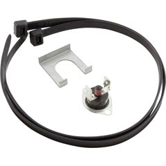 Vent Limit Switch, Zodiac Laars HI-E2 R0309000