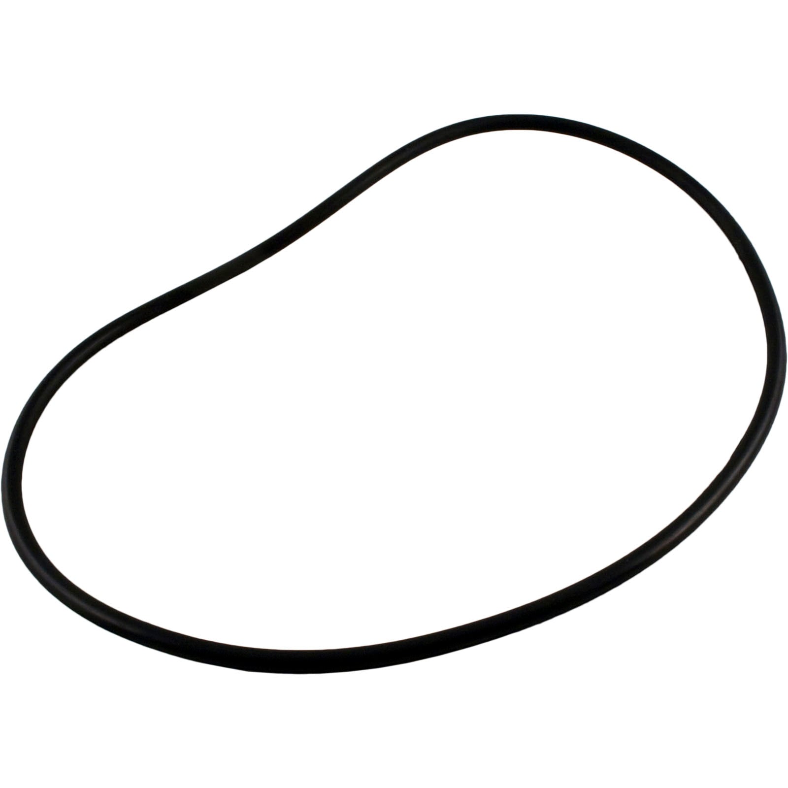 O-Ring, Zodiac Jandy FHPF, Seal Plate, O-465/ R0480300