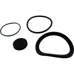 Seal Kit, Zodiac Jandy JS60-SM/JS100-SM, Drain Fitting R0488400