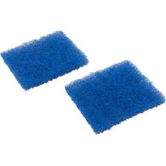 Door Filter Element, Hayward SharkVAC/XL, qty 2. RCX97417SPAK2