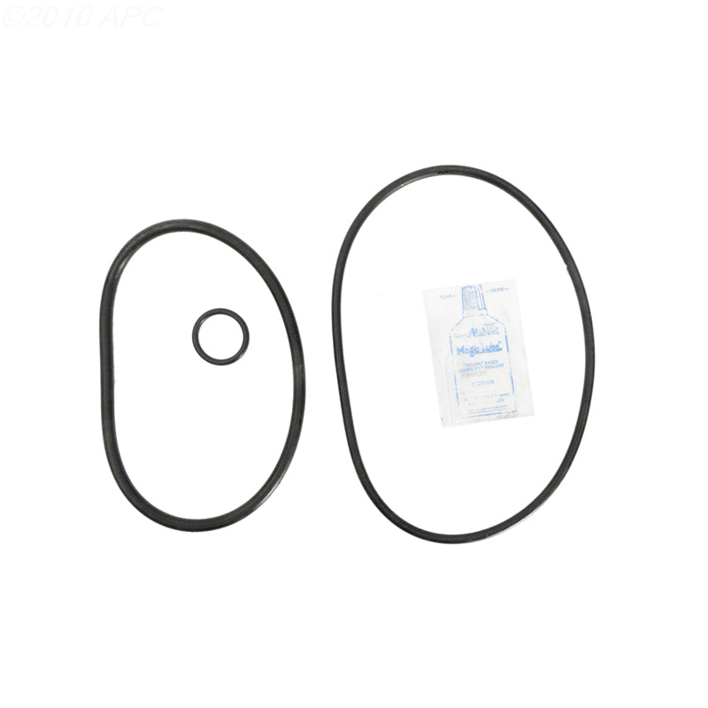 Hayward GM Series Complete Replacement O-Ring Kit RO-KIT320