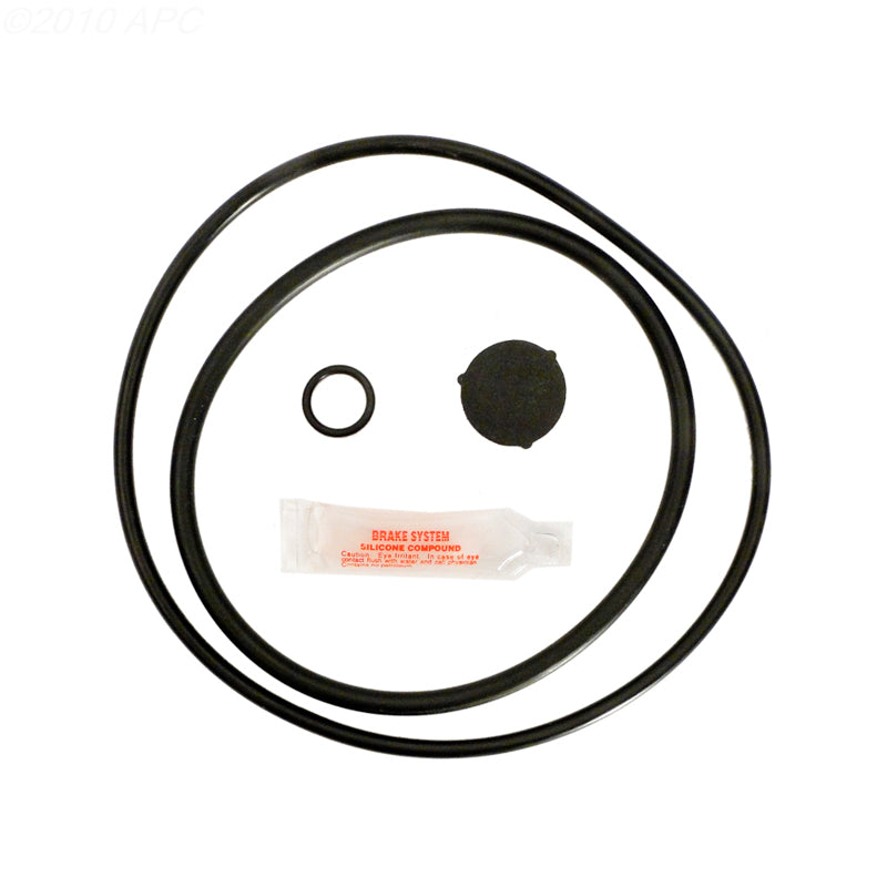 Hayward Pro-Series Complete Replacement O-Ring Kit RO-KIT321