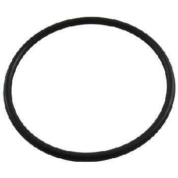 Hayward SPX1500W O-Ring For Strainer