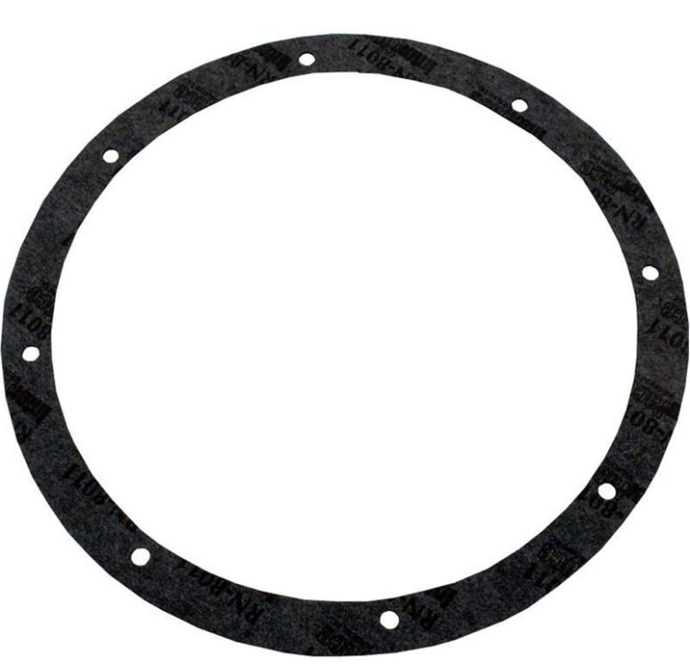 Light Niche Gasket Kit, Pentair 8-Hole, Vinyl 79200300