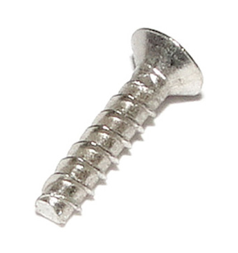 Hayward RCX12000 M2.9 x 13 T-8 Torx Flat Head Screw