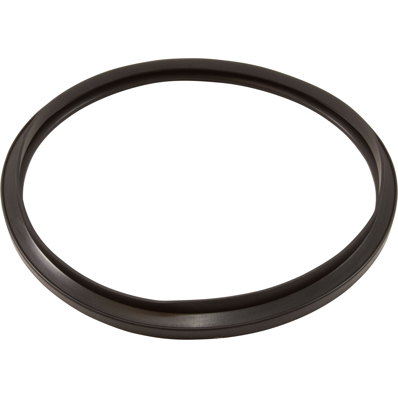 Hayward CX250F Filter Gasket