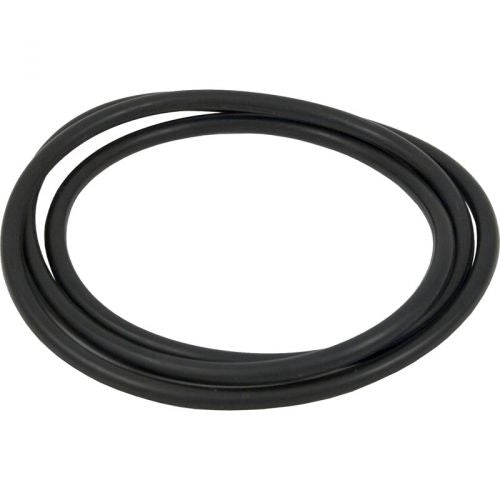 Hayward CCX1000G Xstream Body Oring