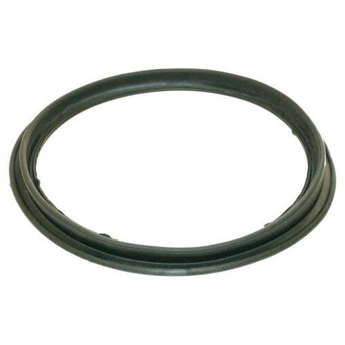 Hayward ECX1105 Diaphragm Gasket Perflex De