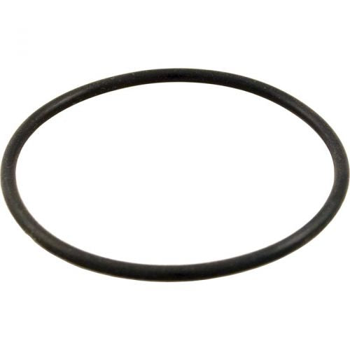 Hayward ECX1287 O-Ring For Gauge Adapter