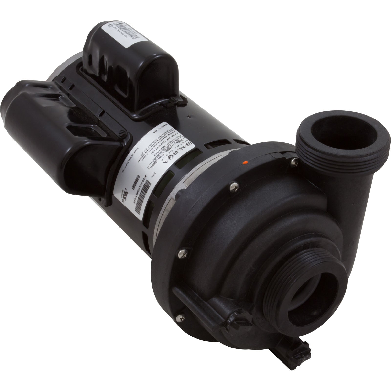 Sundance & Jacuzzi 48 Frame 2.5 HP 230 Volts Spa Pump, 2-Speed| 6500-343
