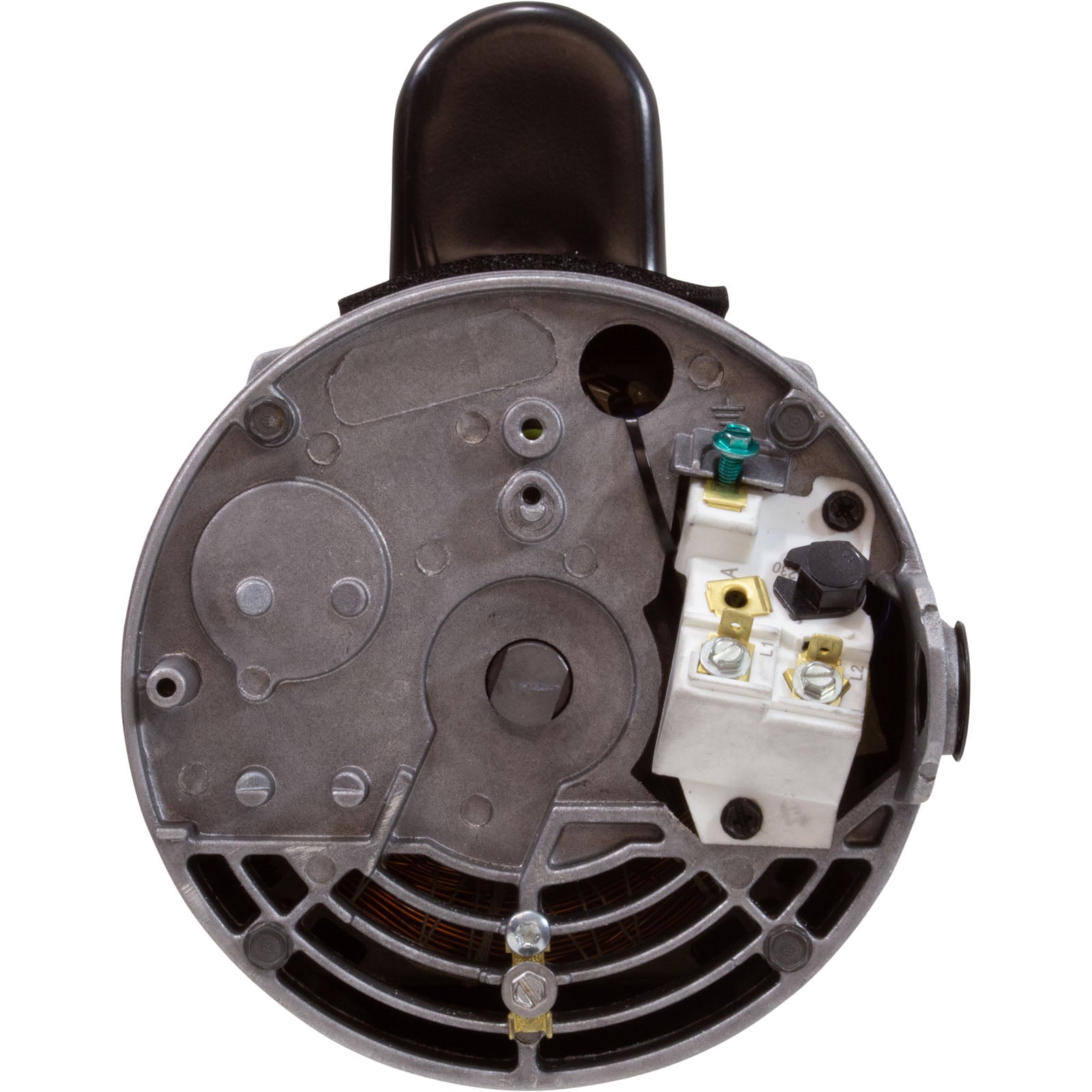 Century 1.5 HP Square Flange Premium Up Rated Service Factors 115-230V | B2854V1