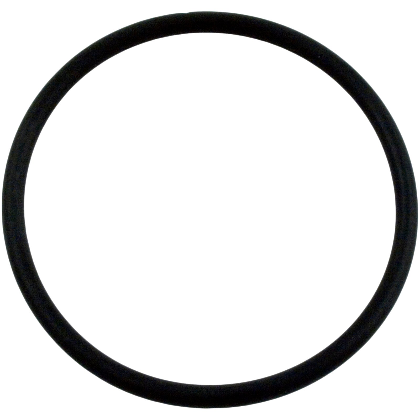 Hayward CLX110K Viton Lid O-Ring for CL100 and CL110 Chlorine Feeders - OEM