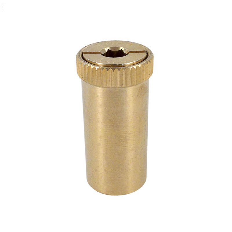 Loop-Loc Concrete Brass Anchor For Safety Cover