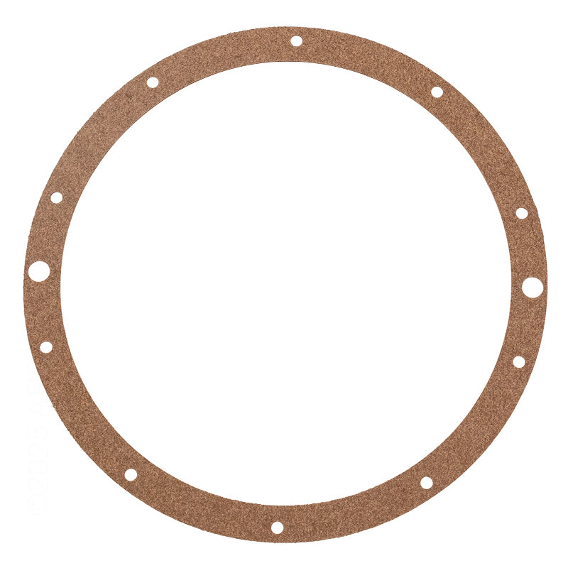 Hayward SPX0506D Gasket SP0607 PVC Niche