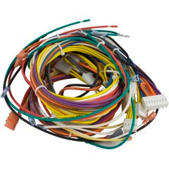 Wire Harness, Pentair Max-E-Therm/MasterTemp, 115v/230v 42001-0104S