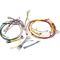 Wire Harness, Pentair MasterTemp 125, 120/240v 461107
