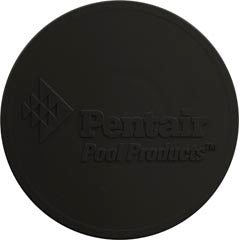 Disk Logo Pentair Black 510162