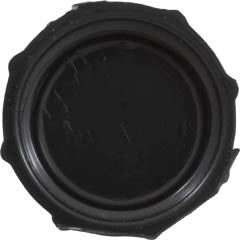 Drain Cap, Waterway Filter On/Off Valve, 1/2"fght, Black 519-0231