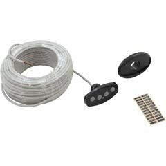 Control Panel, Pentair iS4, 100ft Cable, Black 521892