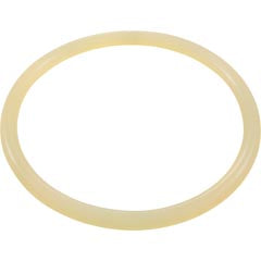 O-Ring, Buna-N, Astral Aster Filter, Lid 7401700120