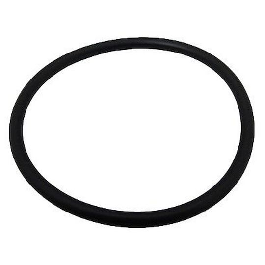 O-Ring, THS Series Filter, Manway B4951