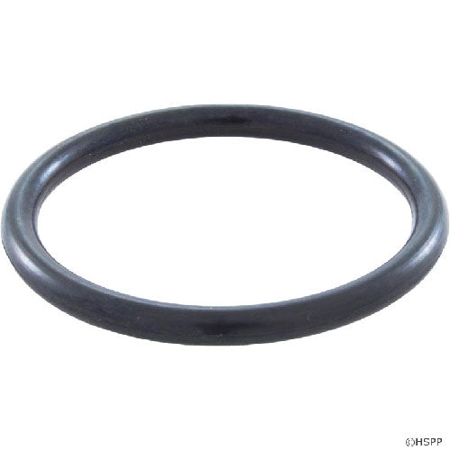 Wall Fitting Lg. O-Ring-2 Pack E21