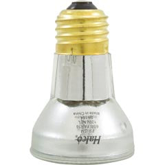Replacement Bulb, R20, Flood Lamp, 100w (60w Halogen), 115v HP16NFL60/120