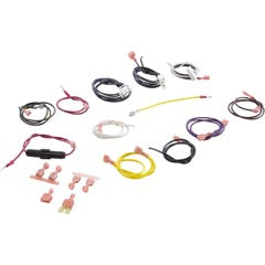 Wire Harness, Zodiac Laars HI-E2, Ignition Control R0302700