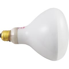 Replacement Bulb, Flood Lamp, 500w, 115v R40FL500/HG